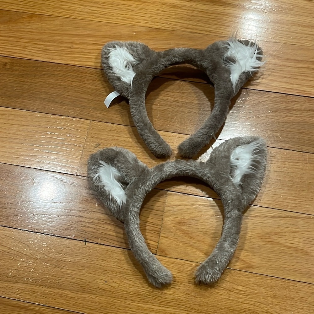 Great wolf lodge 2 pair of ears .